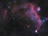 Seagull nebula 2.jpg