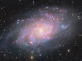 Messier 33.jpg