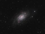 NGC2403 Galaxy in Camelopardalis 230410 P3 180rgb120h.jpg