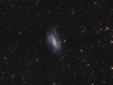 NGC925.png
