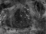 NGC2244 Ha.jpg