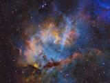 The Lion Nebula.jpg