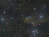 ldn1235 Shark nebula.jpg