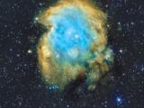 ngc2174 Monkey Head nebula crop.jpg