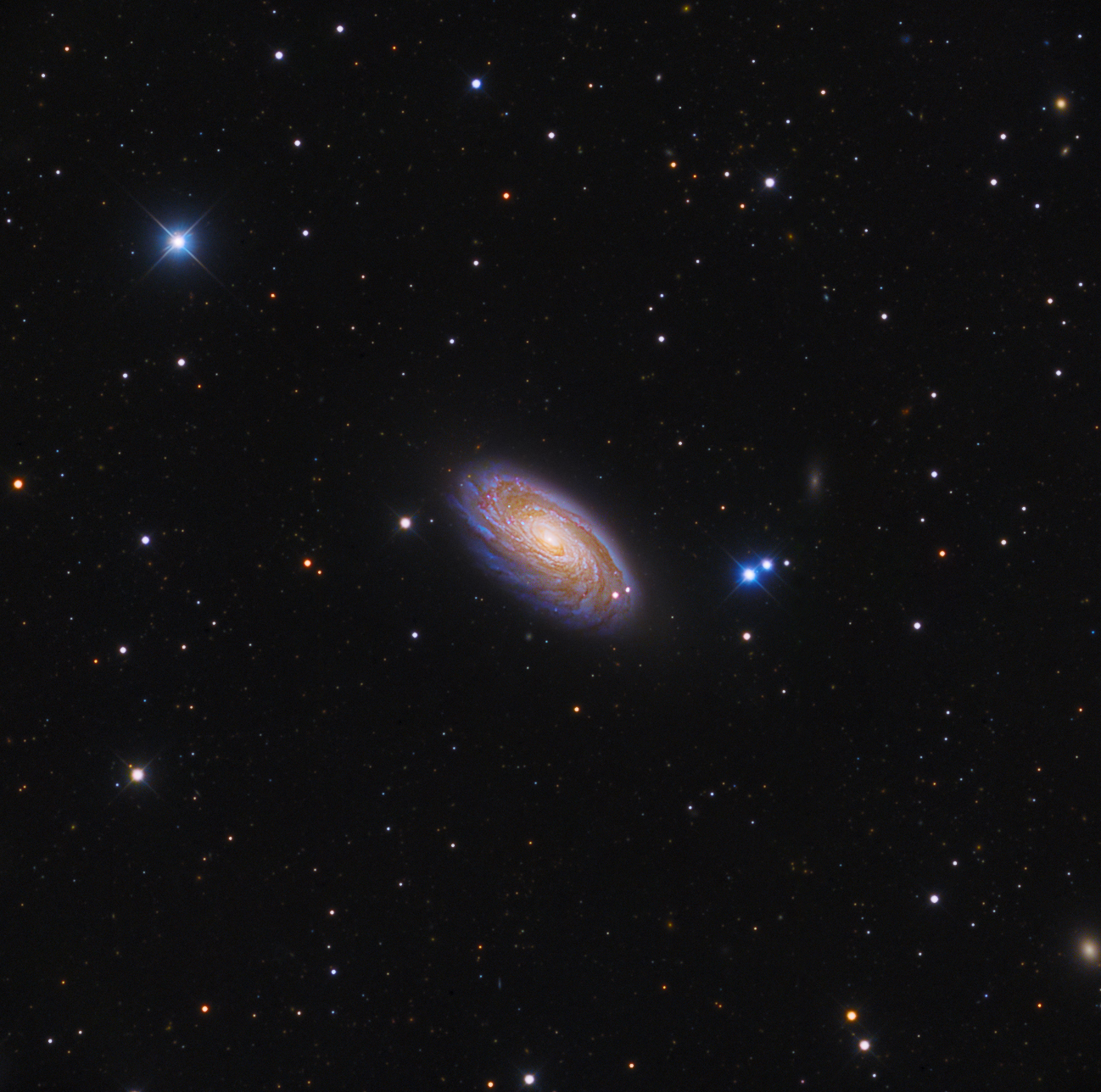 NGC4051.jpg