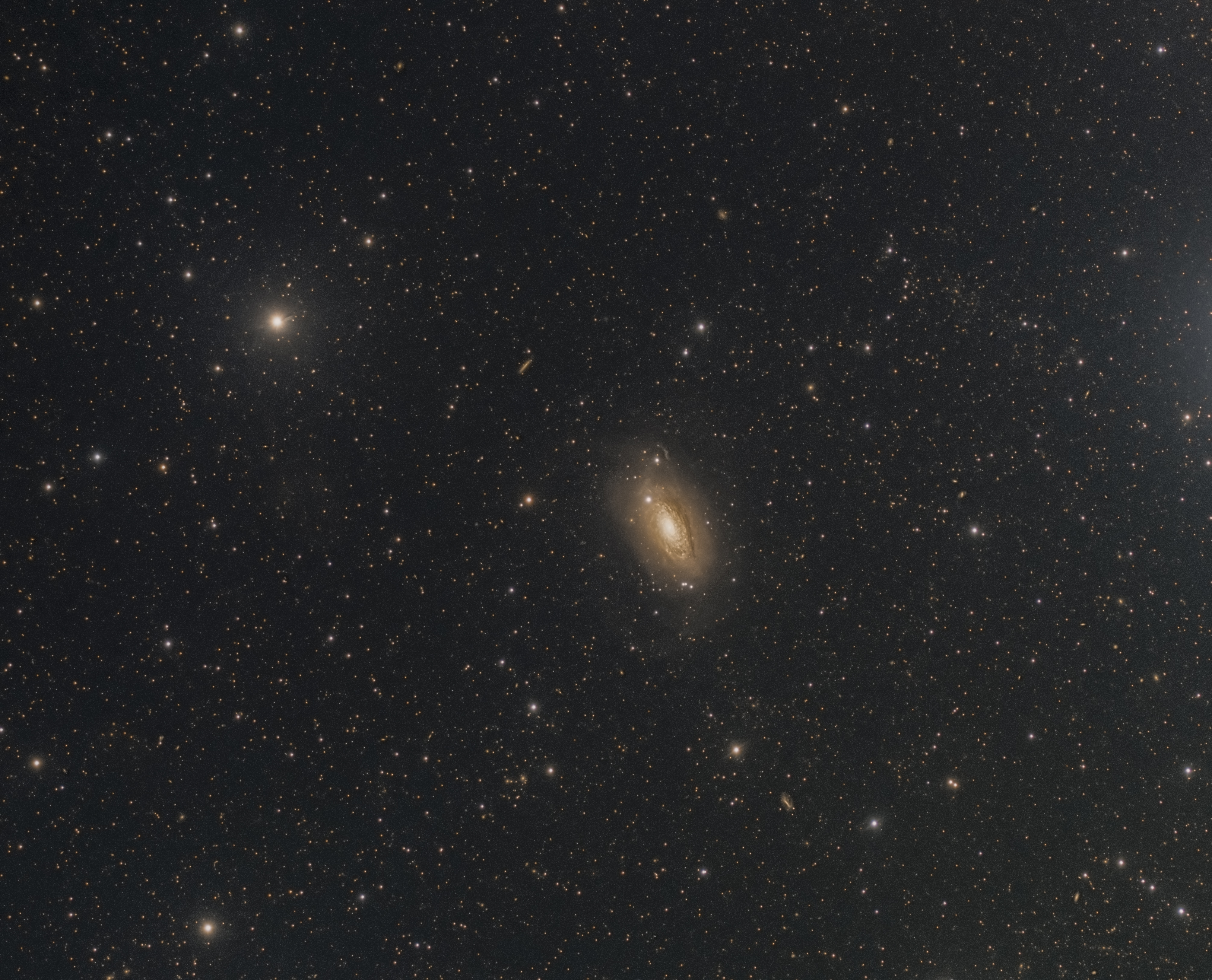 m63 Sunflower galaxy crop.jpg