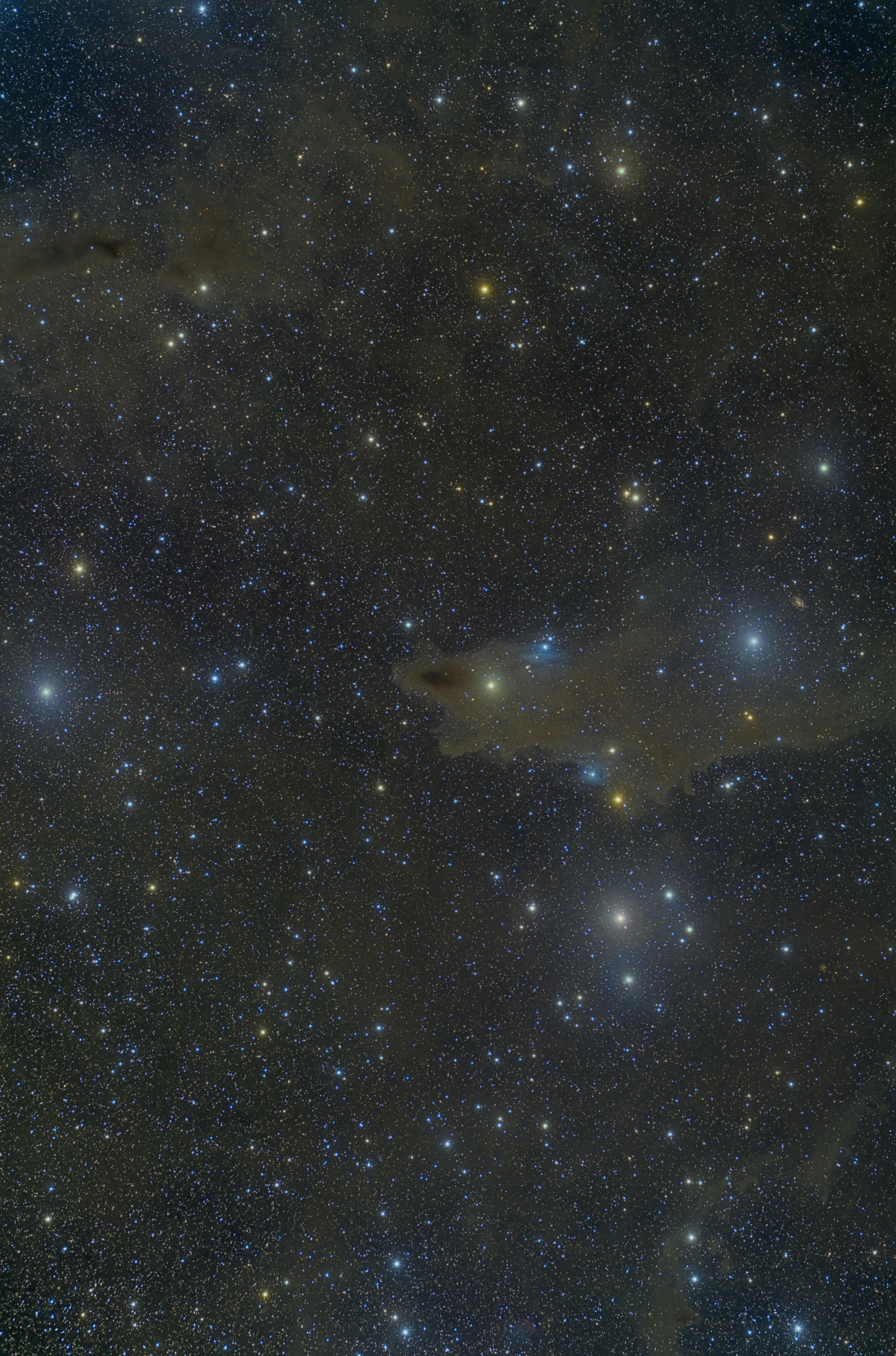 ldn1235 Shark nebula.jpg