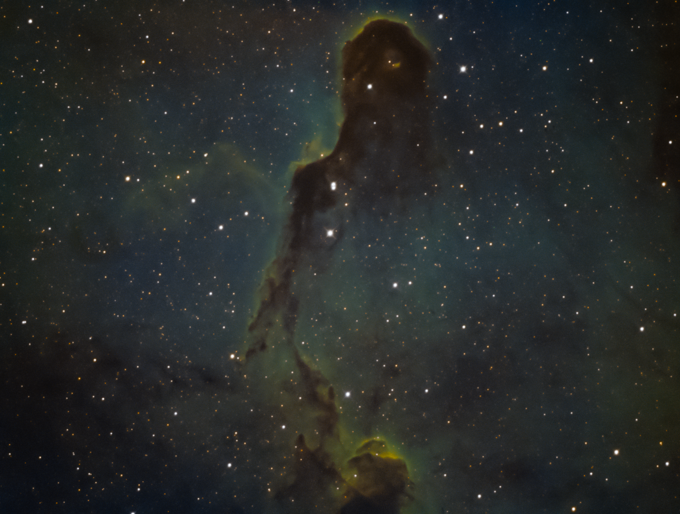 ic1396 Elephant Trunk.png