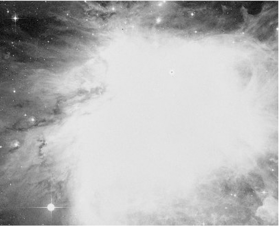 M42 The Orion Nebula